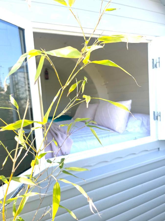 Holiday home Solo Glamping Pod - Sleeps 4 - Northumberland