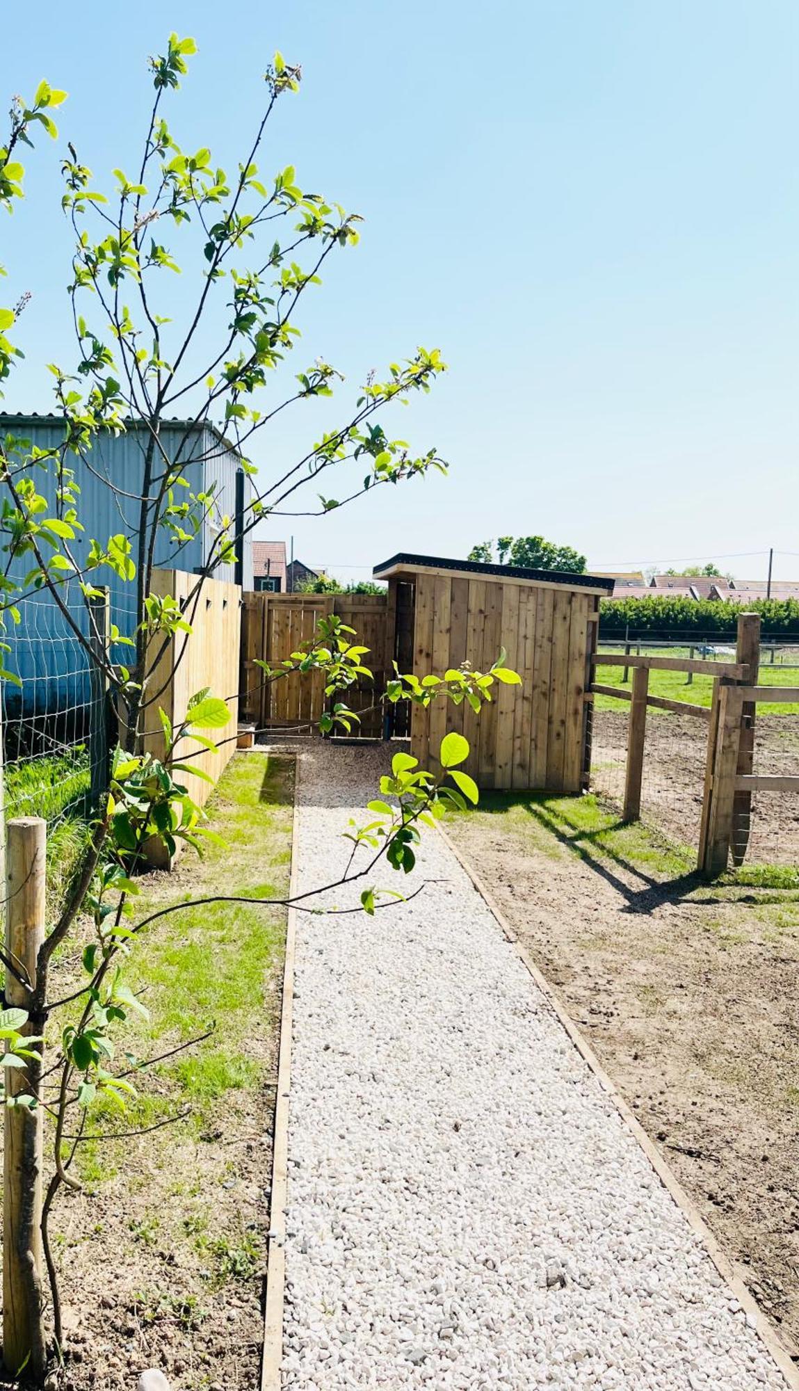 Solo Glamping Pod - Sleeps 4 - Northumberland