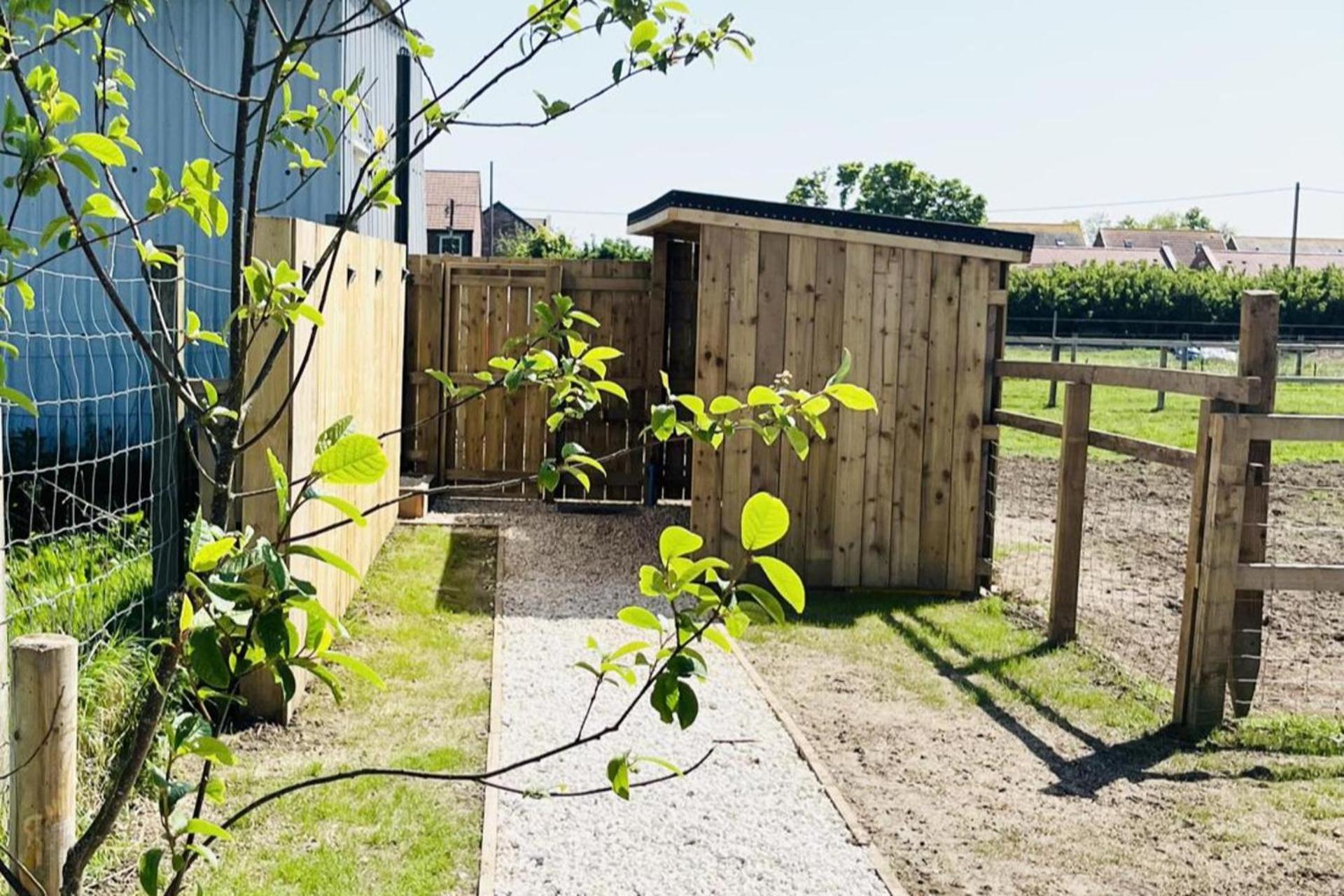 Solo Glamping Pod - Sleeps 4 - Northumberland Morpeth